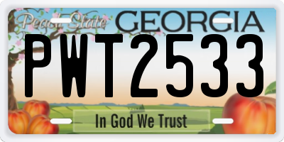 GA license plate PWT2533