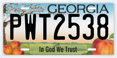GA license plate PWT2538