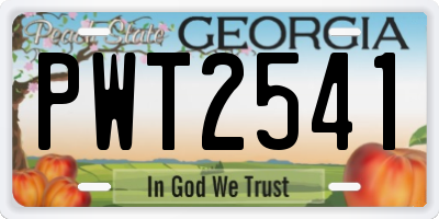 GA license plate PWT2541