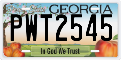 GA license plate PWT2545