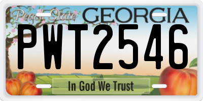 GA license plate PWT2546