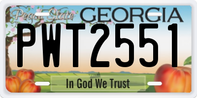 GA license plate PWT2551