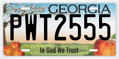 GA license plate PWT2555