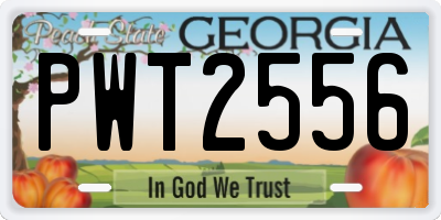 GA license plate PWT2556