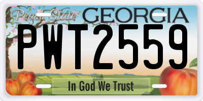 GA license plate PWT2559
