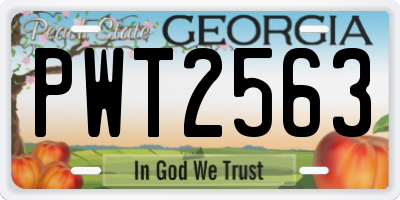 GA license plate PWT2563