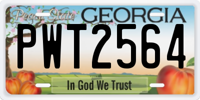 GA license plate PWT2564