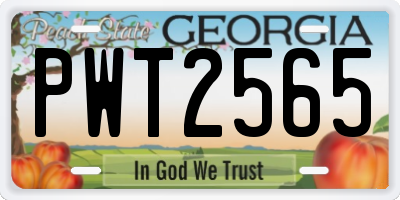 GA license plate PWT2565