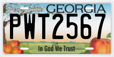 GA license plate PWT2567