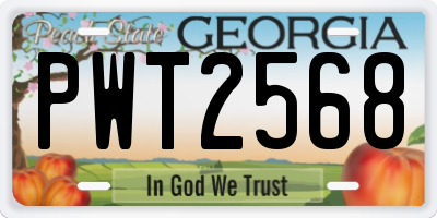 GA license plate PWT2568