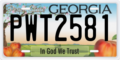 GA license plate PWT2581