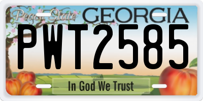 GA license plate PWT2585