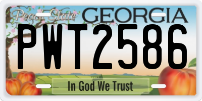 GA license plate PWT2586