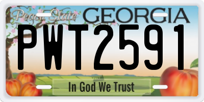 GA license plate PWT2591