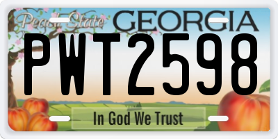 GA license plate PWT2598