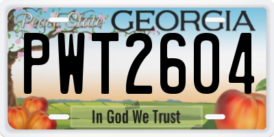 GA license plate PWT2604