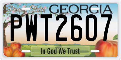 GA license plate PWT2607