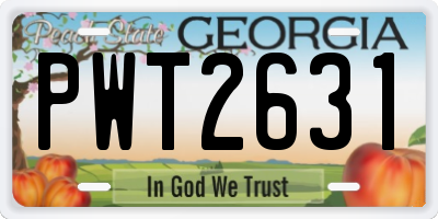 GA license plate PWT2631