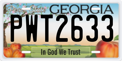 GA license plate PWT2633