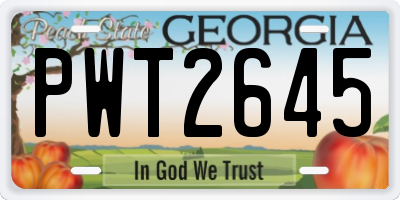 GA license plate PWT2645