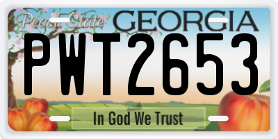 GA license plate PWT2653