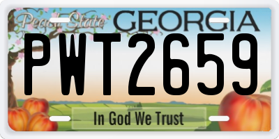 GA license plate PWT2659