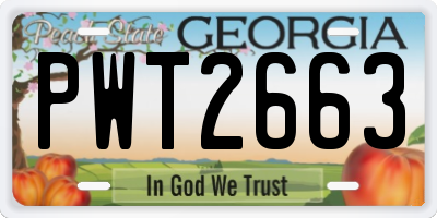 GA license plate PWT2663