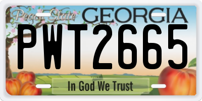 GA license plate PWT2665
