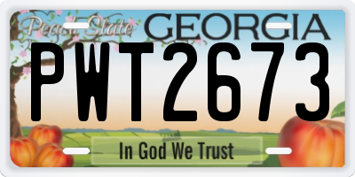GA license plate PWT2673