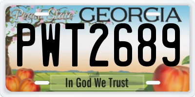 GA license plate PWT2689