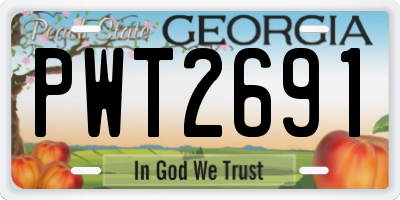 GA license plate PWT2691
