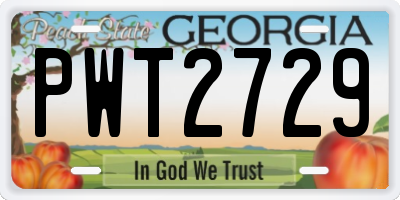 GA license plate PWT2729