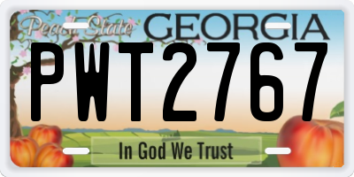 GA license plate PWT2767