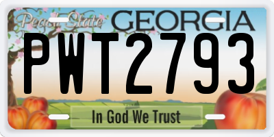GA license plate PWT2793