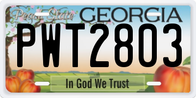 GA license plate PWT2803