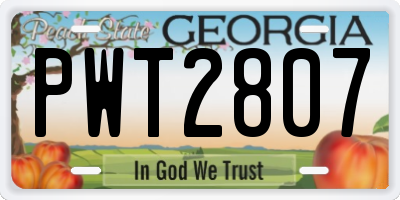 GA license plate PWT2807