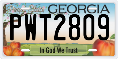GA license plate PWT2809