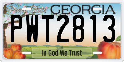 GA license plate PWT2813