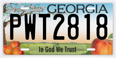 GA license plate PWT2818