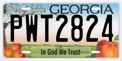 GA license plate PWT2824