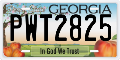 GA license plate PWT2825