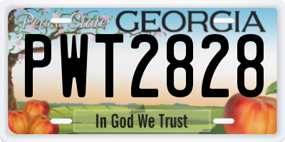 GA license plate PWT2828