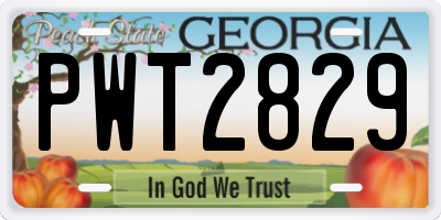 GA license plate PWT2829