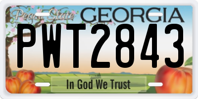 GA license plate PWT2843