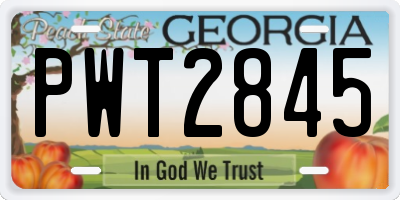 GA license plate PWT2845