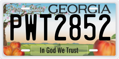 GA license plate PWT2852