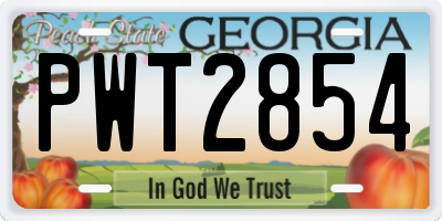 GA license plate PWT2854