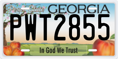 GA license plate PWT2855