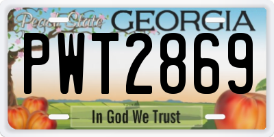 GA license plate PWT2869
