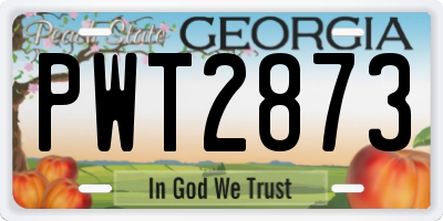 GA license plate PWT2873